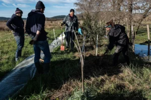 5000 arbres en vaunage
