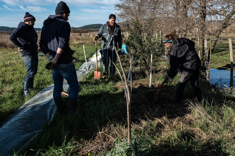 5000 arbres en vaunage