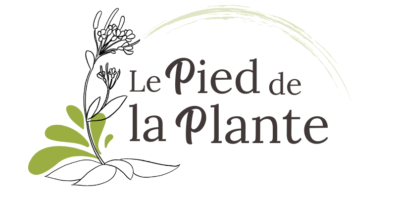 lpdlp logoweb blank1