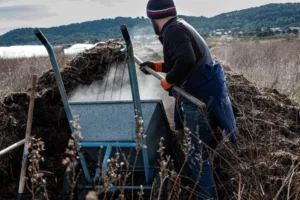 compost